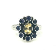 Load image into Gallery viewer, Nicky Butler SS Citrine Multi Gem Flower Ring