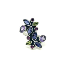 Load image into Gallery viewer, Nicky Butler SS Iollte Multi Gem Offset Ring